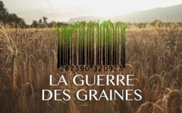 Oltome - La guerre des graines