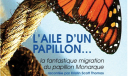 Oltome - L'aile d'un papillon