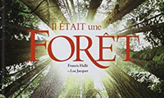 Oltome - Il était une forêt