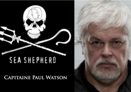 Oltome - Biographie - Paul Watson