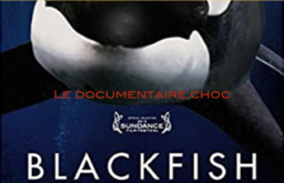 Oltome a vu Blackfish