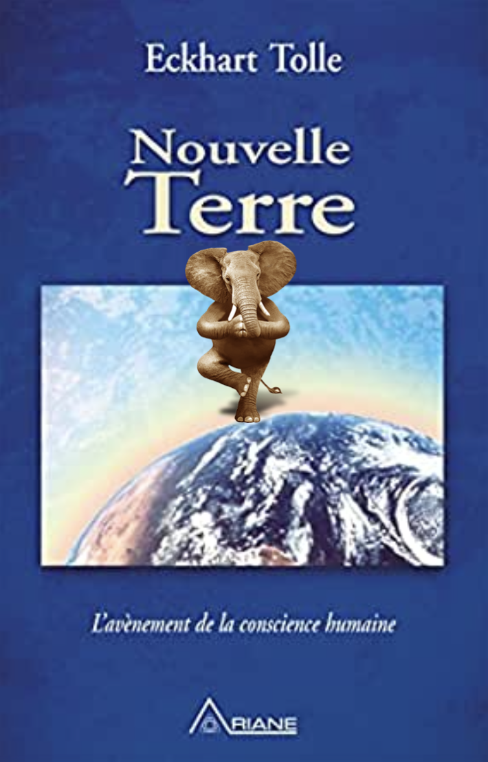 Nouvelle Terre d'Eckart Tolle Oltome synthèse et résumé du livre
