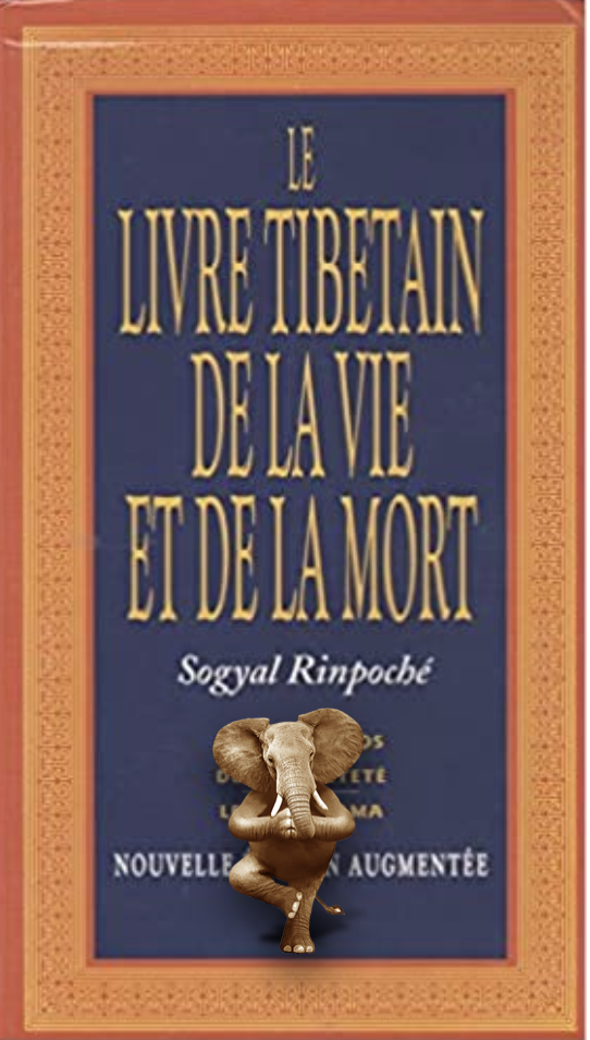 Le livre tibétain de la vie et de la mort Oltome résumé et synthèse