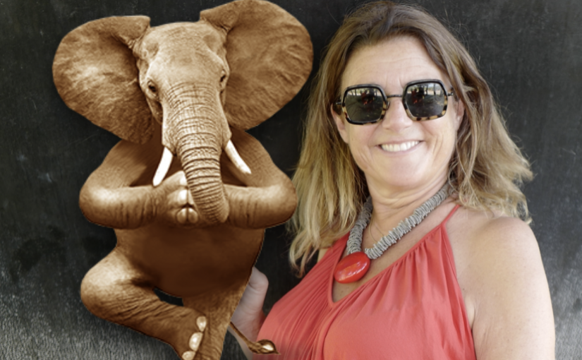 Oltome - Contact Laurence de Vestel