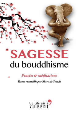 Oltome - Sagesse du bouddhisme synthèse résumé du livre avis