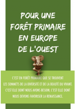 Oltome - Pour une forêt primaire en Europe de l'Ouest