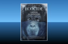 Oltome - Ecocide film